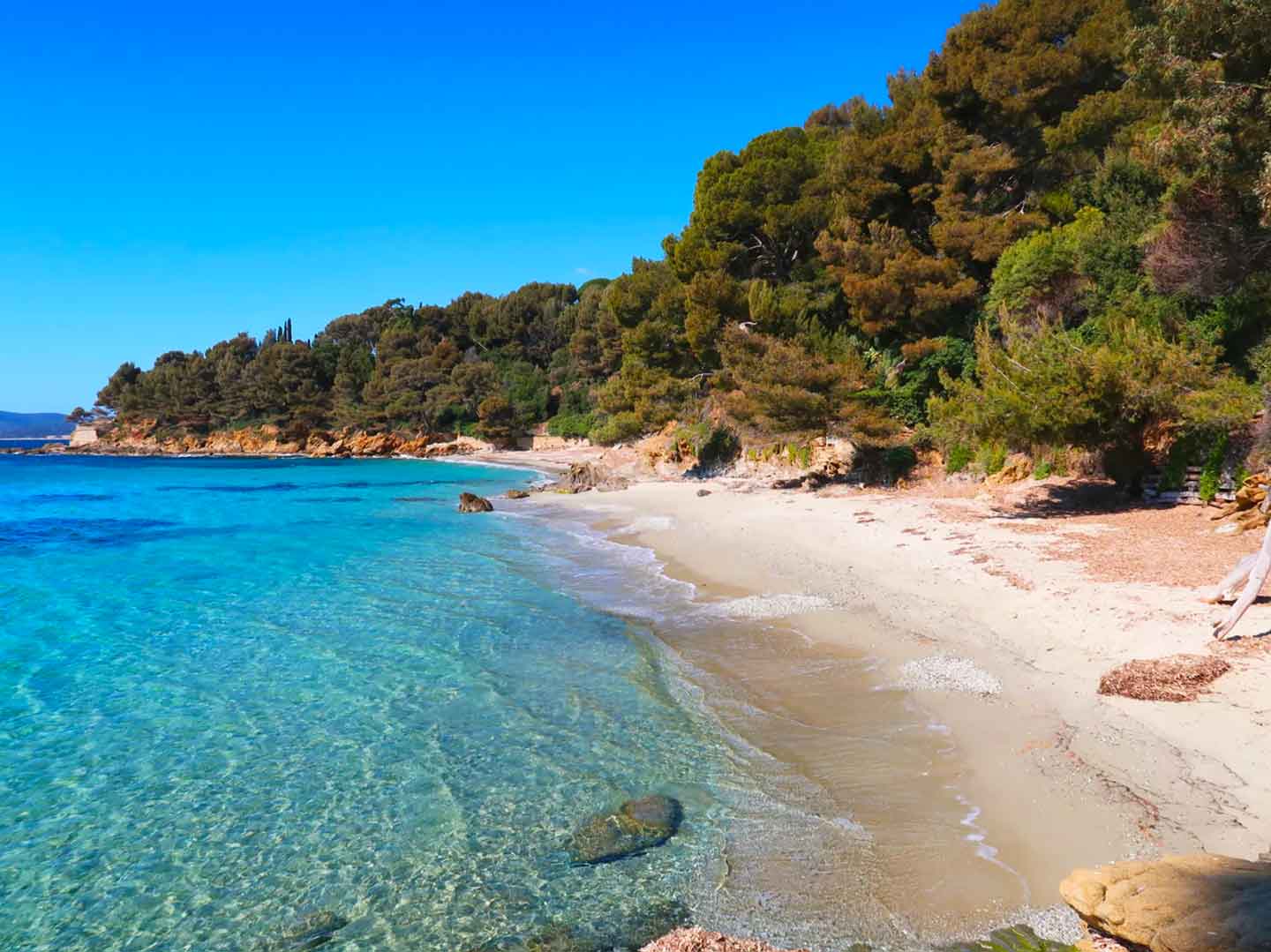 Hostellerie de l'Abbaye - Plage Eléphant