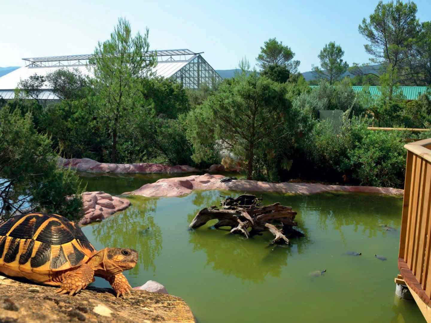 Hostellerie de l'Abbaye - Village des tortues